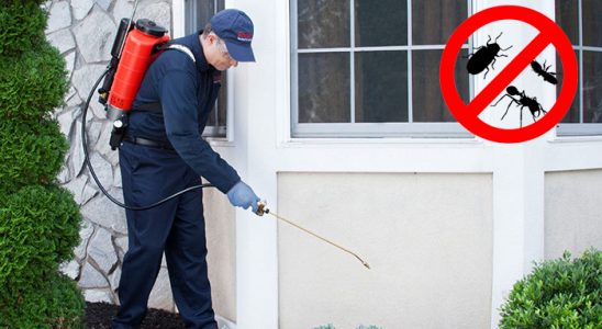 Helvacı Tahtakurusu İlaçlama böcek ilaçlama ve haşere kontrolü — ilaclama-tr.com